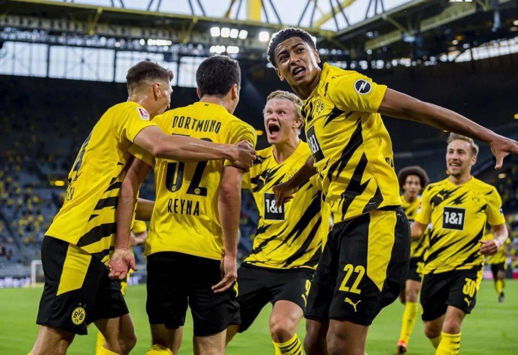 法进展与条 法进展与条